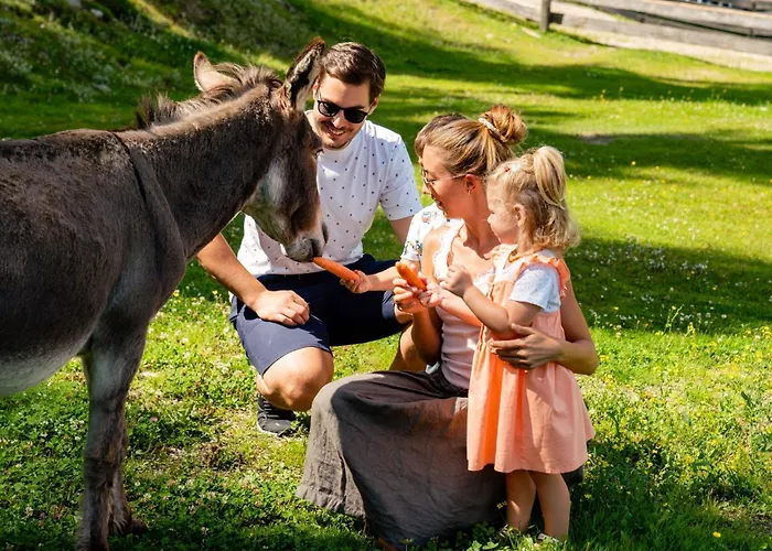 Sennerin By Interhome *